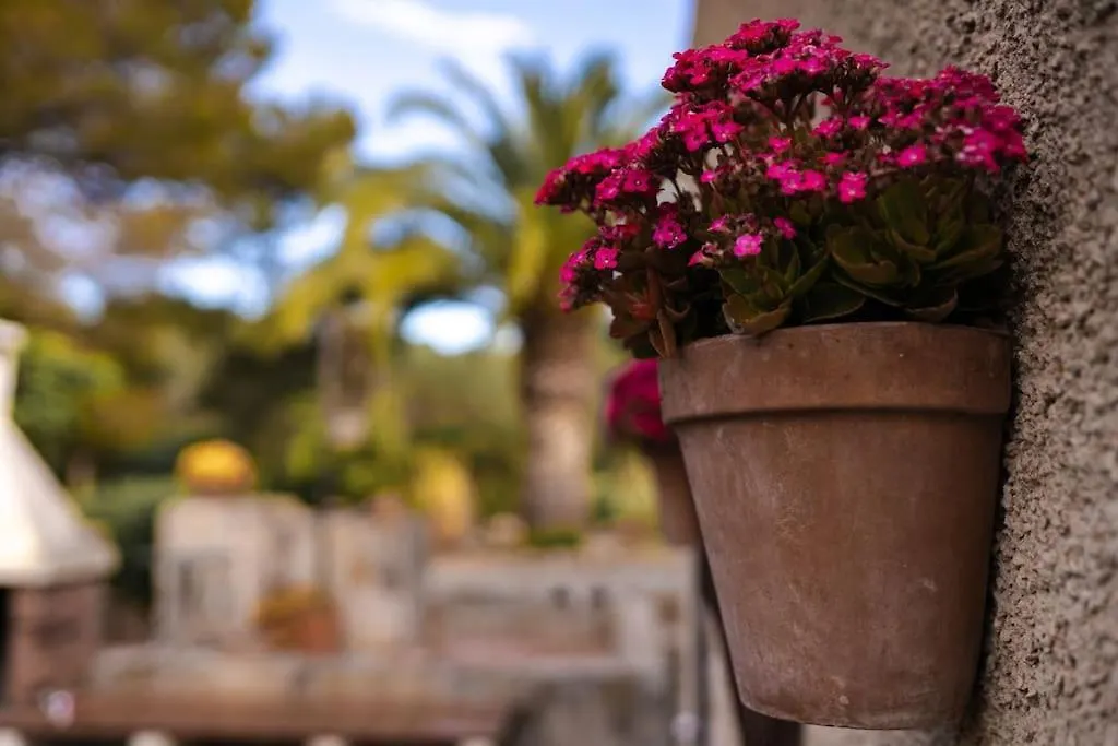 Finca Casa Rubi With Pool And Ocean View Son Carrio  Holiday home